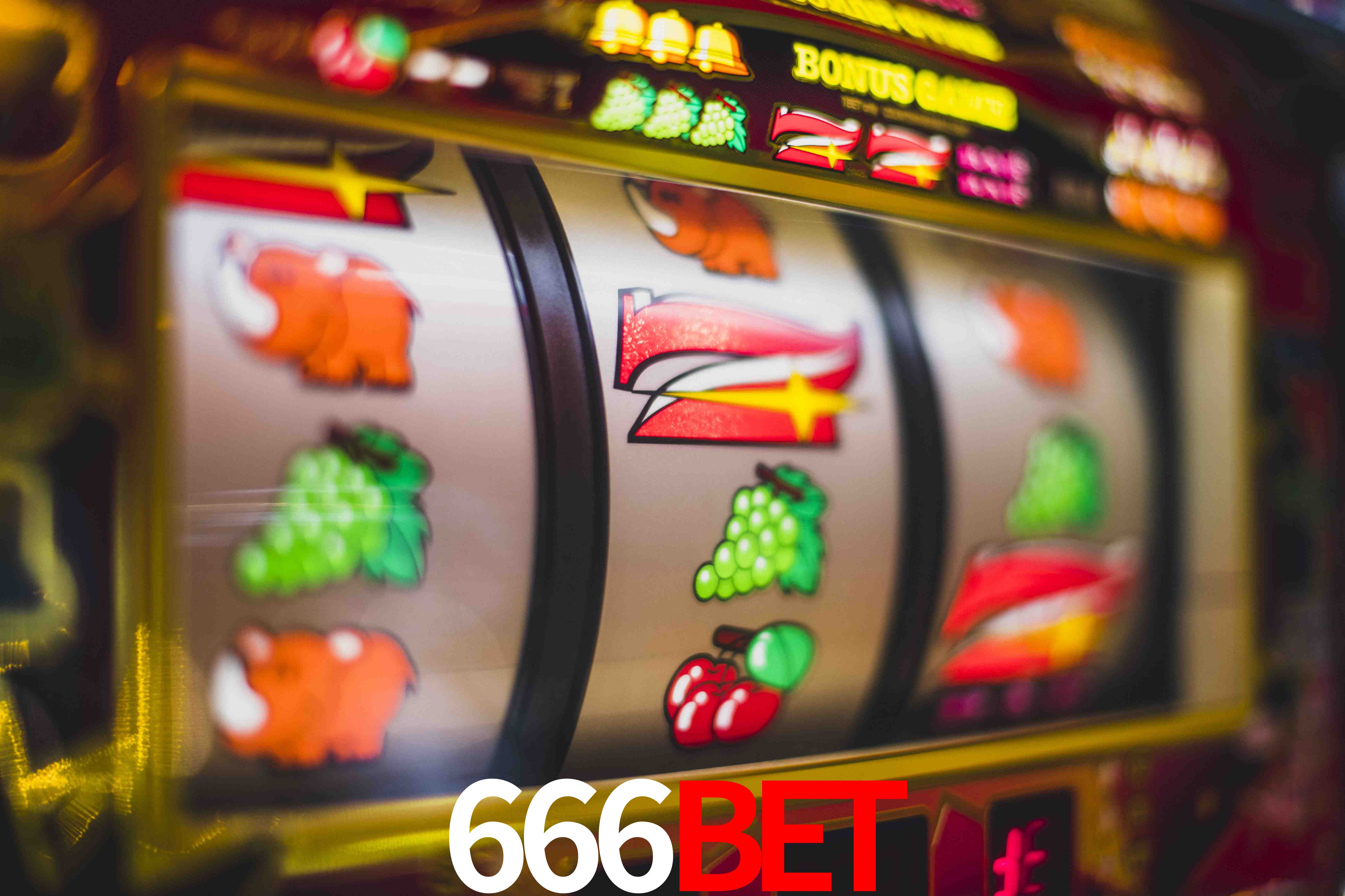 Sports Statistics 666bet